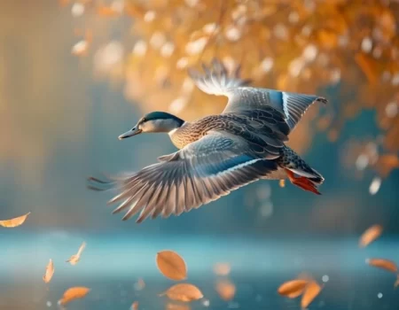 Free_Birdd dashboard showcasing QSR analytics and management tools for multi-unit restaurants.