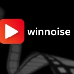 WinNoise logo showcasing streaming entertainment and workplace acoustic solutions.