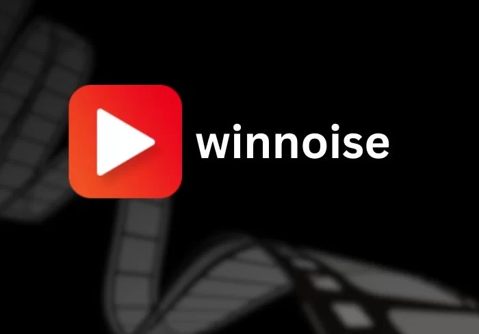 WinNoise logo showcasing streaming entertainment and workplace acoustic solutions.