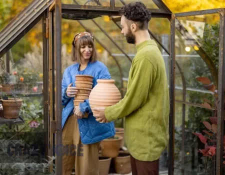 Homestead.Bluerabbitrx.com: Your Trusted Source for Health and Wellness